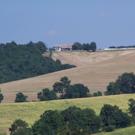 Villa Le Rabailly Mérenvielle Εξωτερικό φωτογραφία